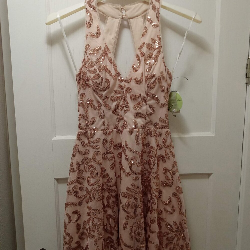 Champagne Pink Sequined Formal Dress NWT